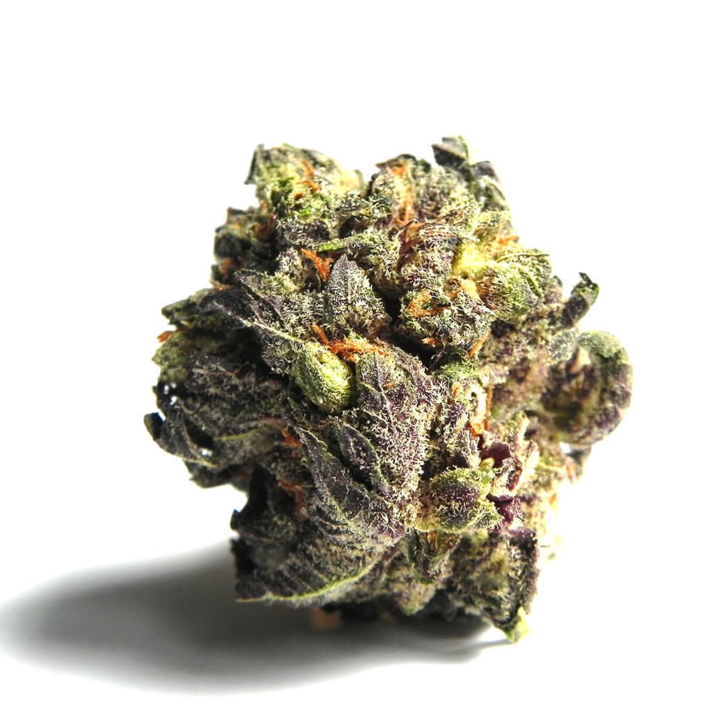 granddaddy purple indica weed strain 1200