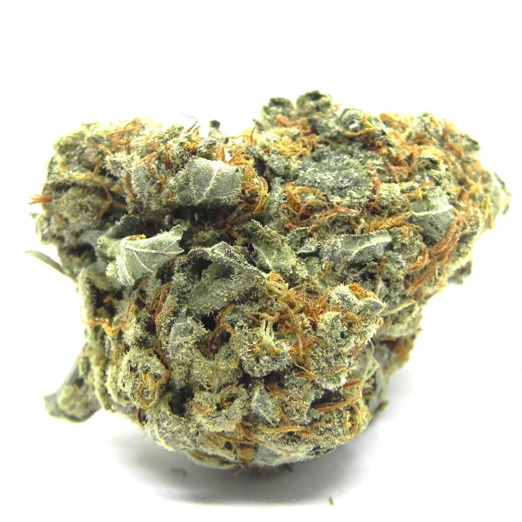 sophies breath sativa weed strain 1200