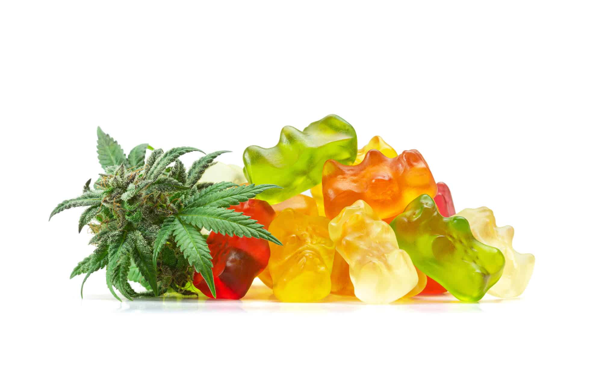 cannabis weed marijuana gummies in mississauga