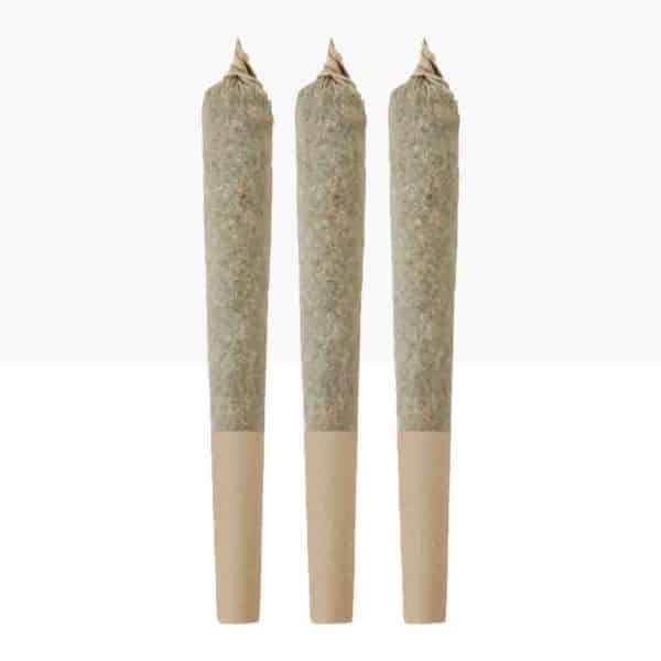 cannabis pre rolls indica sativa