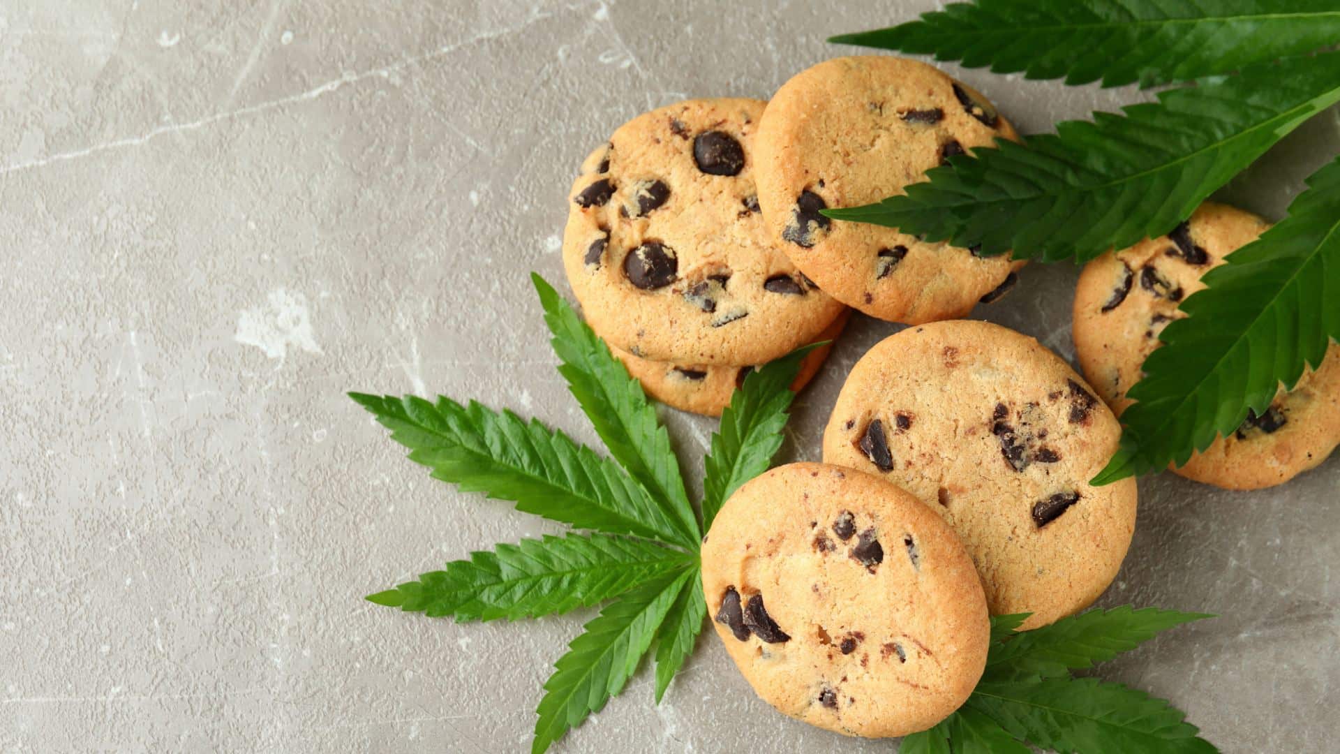 how to make cannabis cookies the best recipe for a relaxing evening