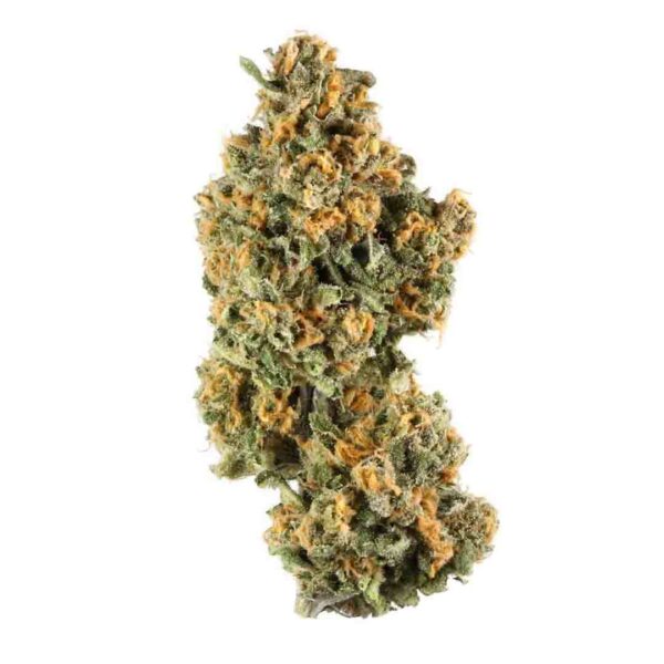 pink swan polo indica strain
