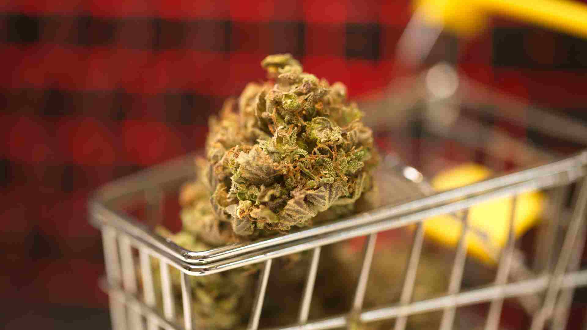 top benefits of ordering weed online in mississauga