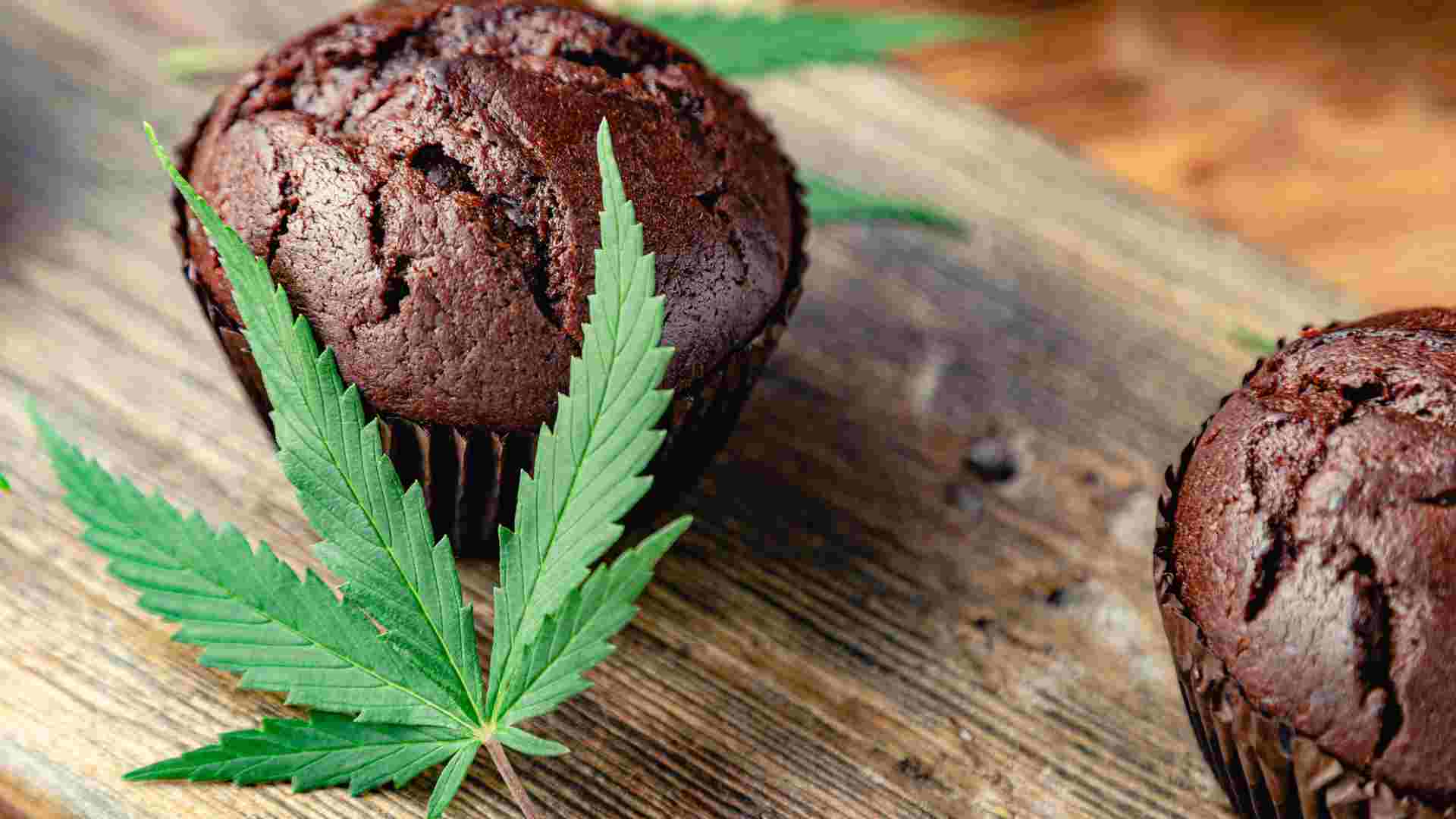 the only guide you need to learn about the science of thc edibles