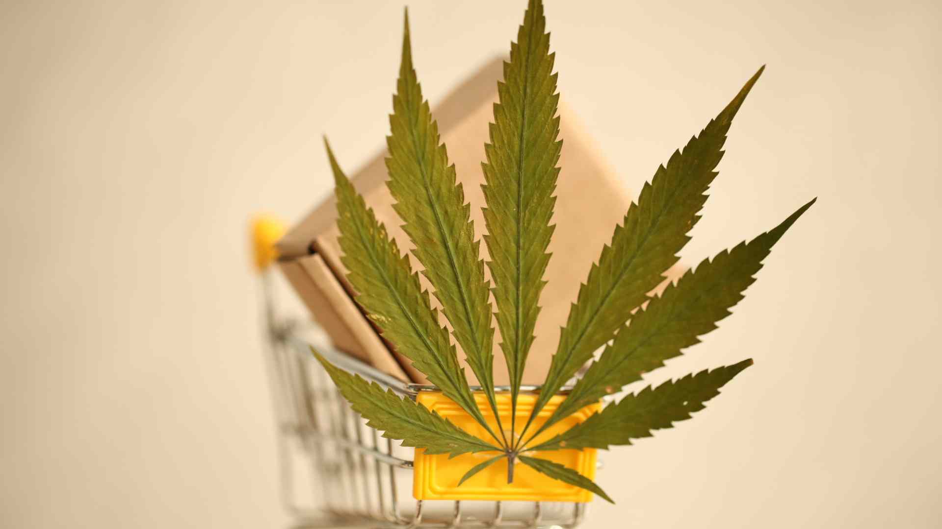 the advantages of ordering weed online versus buying from a physical store