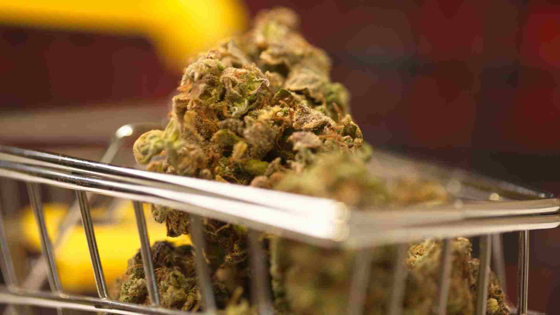 the benefits of buying in bulk when ordering weed online