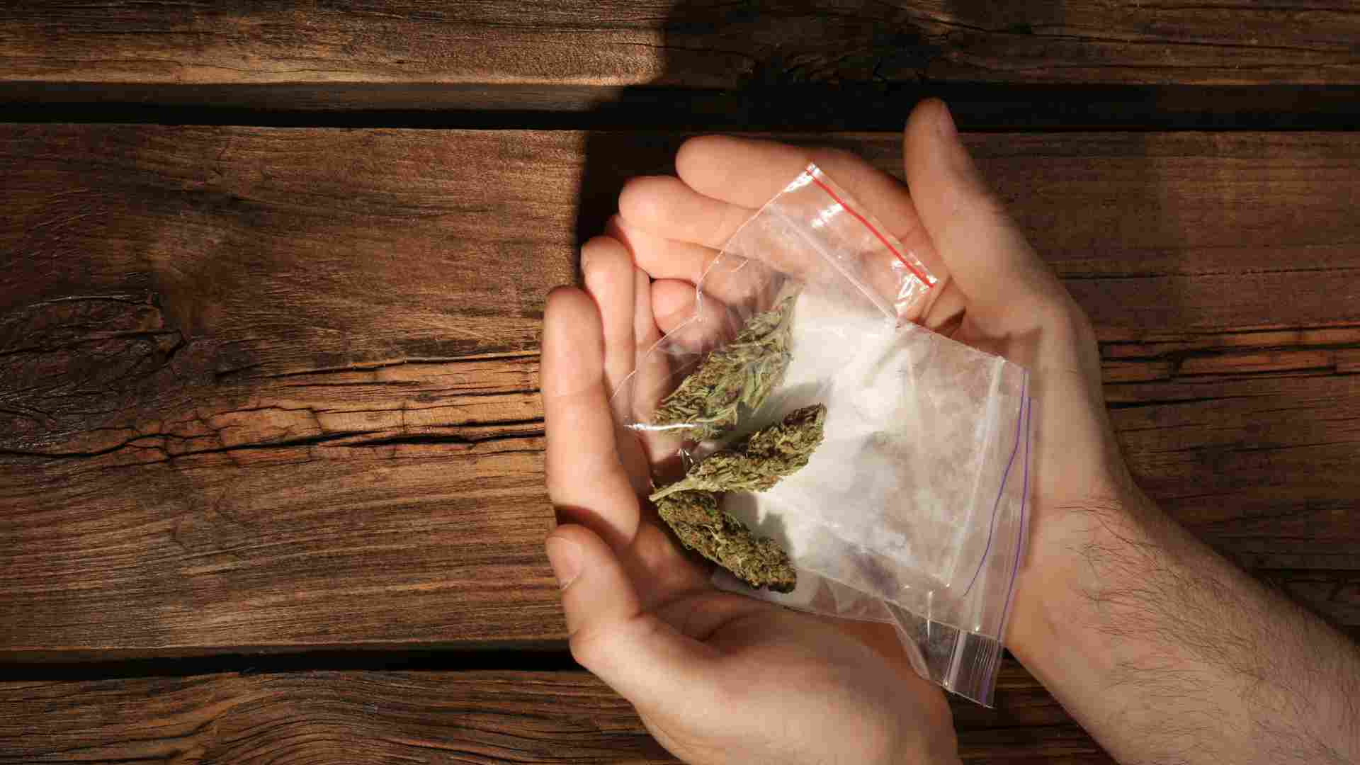 the benefits of online weed delivery for medical patients