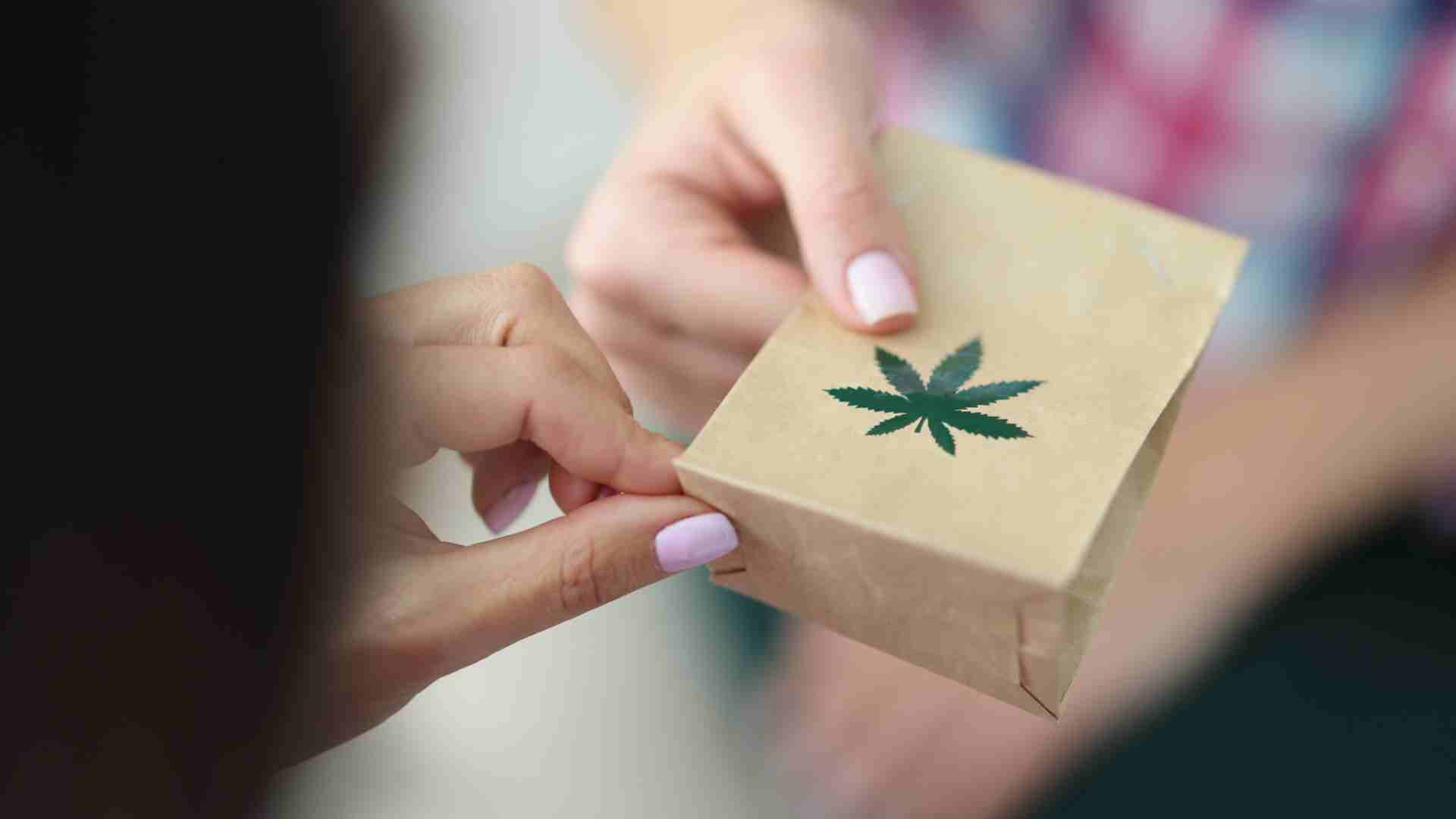 the ultimate guide to online weed delivery everything you need to know