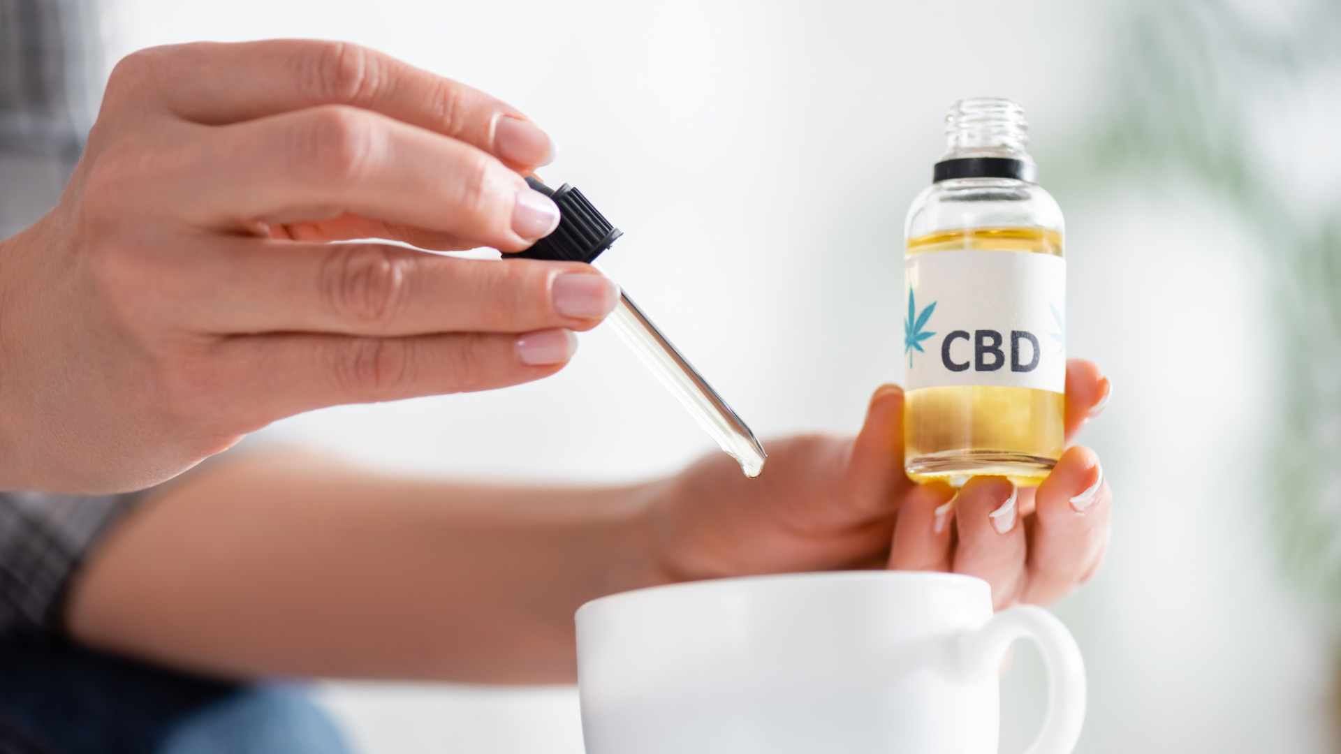 understanding the core differences hemp oil and cbd oil
