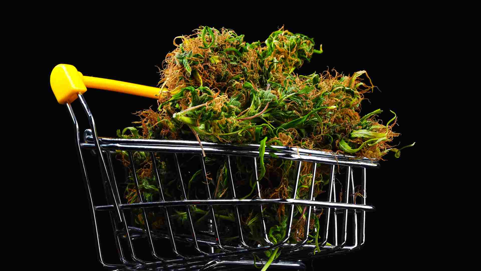 weed shopping 101 avoid these common mistakes when buying online