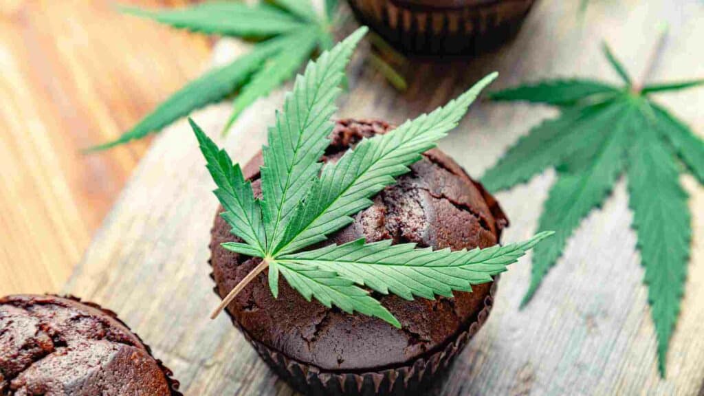how to choose the right dosage for cannabis edibles