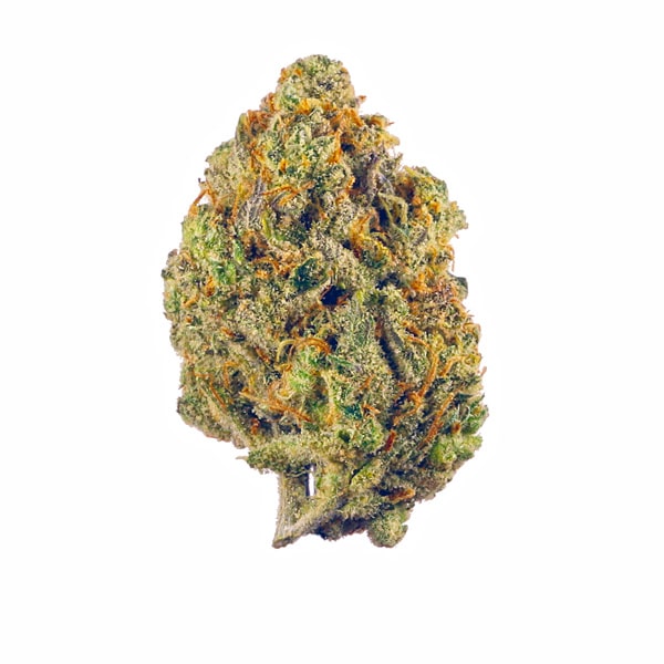 lemon haze sativa strain