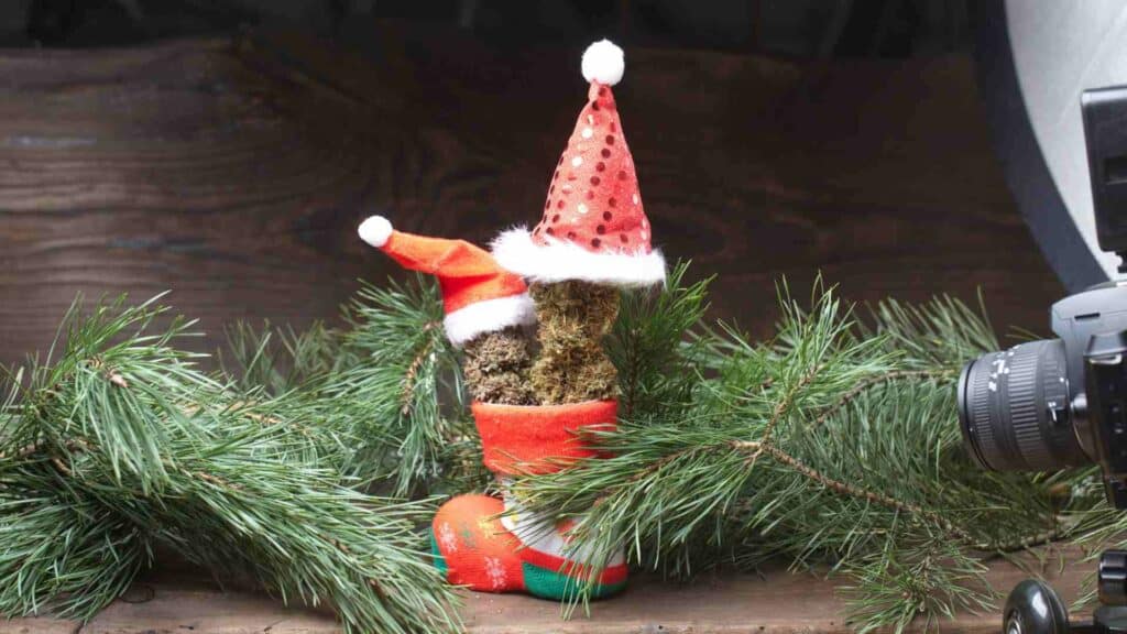 creative ways to incorporate cannabis into your christmas decorations in canada